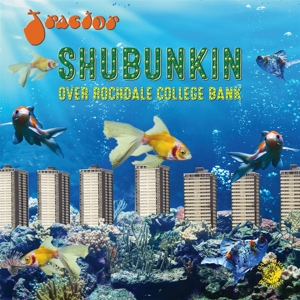 Shubunkin Over Rochdale College Bank by Tractor