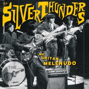 Me Gritan Melenudo by Silver Thunders, the