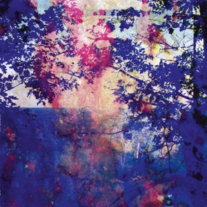 Viaje by Bucher, Roland