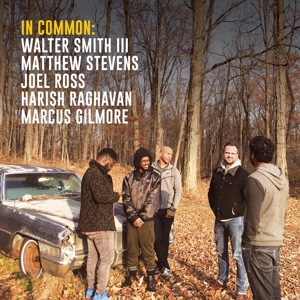 In Common by In Common