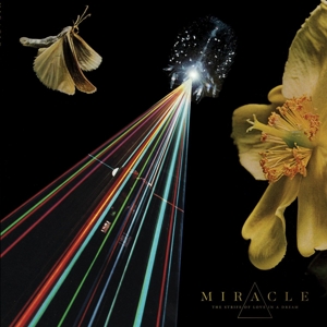 Strife of Love In a Dream by Miracle