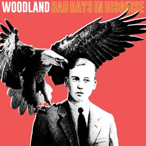Bad Days In Disguise by Woodland