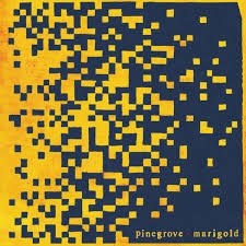 Marigold by Pinegrove