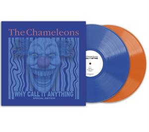 Why Call It Anything by Chameleons