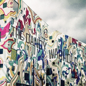 Why You So Crazy by Dandy Warhols