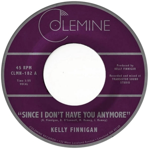 Since I Don't Have You Anymore by Finnigan, Kelly