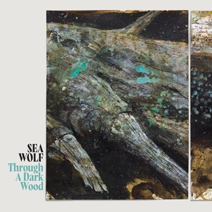 Through a Dark Wood by Sea Wolf