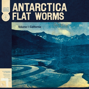 Antarctica by Flat Worms