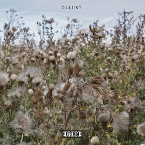 Ollust by Broads & Milly Hirst