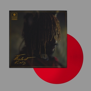 It is What It is by Thundercat