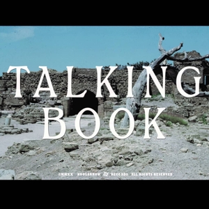 Talking Book Ii by Talking Book
