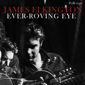Ever-Roving Eye by Elkington, James