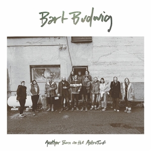 Another Burn of the Astroturf by Budwig, Bart