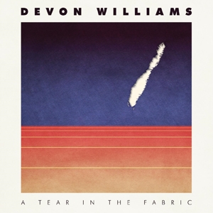 A Tear In the Fabric by Williams, Devon