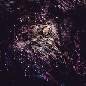 Unfold the God Man by Psychonaut