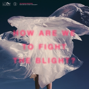 How Are We To Fight the Blight? by Shaking Sensations, the