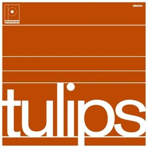 Tulips by Maston