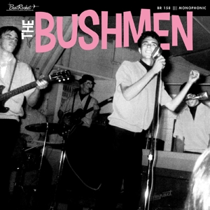 Bushmen by Bushmen