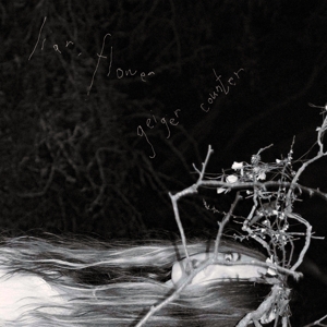 Geiger Counter by Liar, Flower