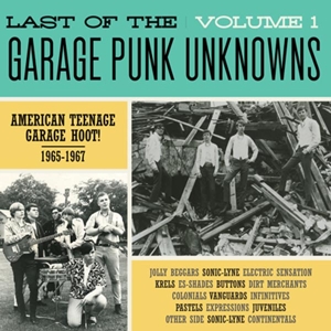 Last of the Garage Punk Unknowns 1 by V/A