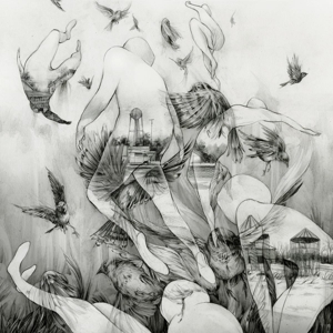 Last Dawn by Mono