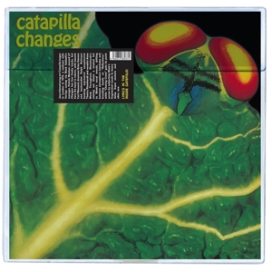 Changes by Catapilla
