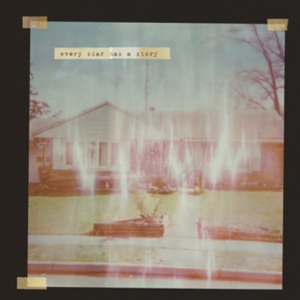 Every Scar Has a Story (10") by Every Scar Has a Story
