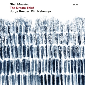 Dream Thief by Maestro, Shai