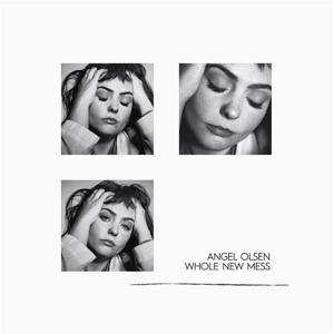 Whole New Mess by Olsen, Angel