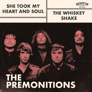 She Took My Heart and Soul by Premonitions, the