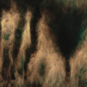 Lamentations by Basinski, William