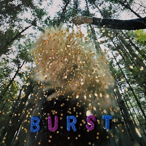 Burst by Snarls