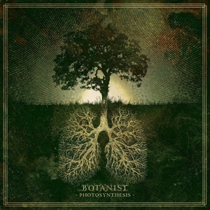 Photosynthesis by Botanist