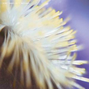 Nech034 by Angelis, Dimi