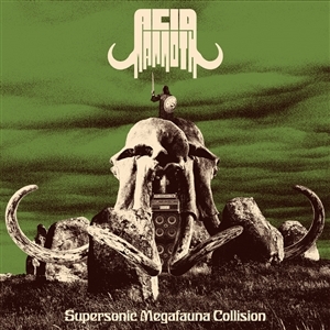 Supersonic Megafauna Collison by Acid Mammoth