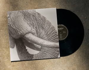 World Elephant Day by White Elephant