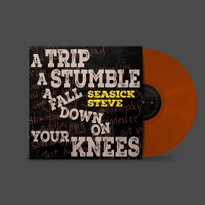 A Trip, a Stumble, a Fall Down On Your Knees by Seasick Steve