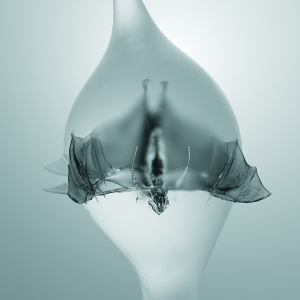 Angel by Unprocessed