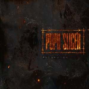 Fleshwork by Pupil Slicer