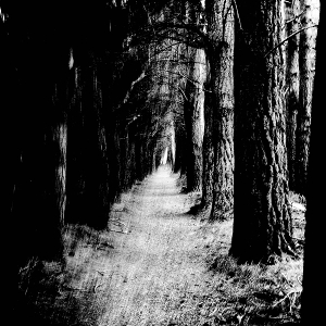 Falter by Stray Theories