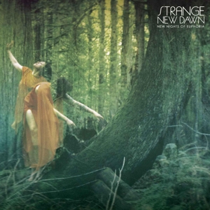New Nights of Euphoria by Strange New Dawn