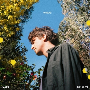 Mimose by Parra For Cuva