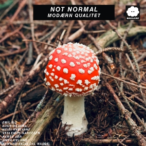 Modaern Qualitet by Not Normal
