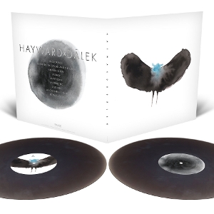 Haywardxdalek by Haywardxdalek