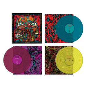 Live In Milwaukee by King Gizzard & the...