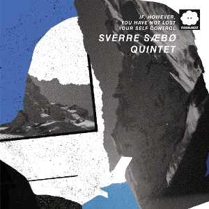 If, However, You Have Not Lost Your Self Control by Sverre Saebo Quintet