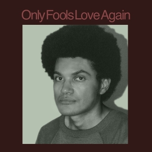 Only Fools Love Again by Ayala, Danny