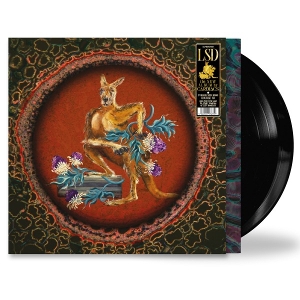 Lsd by Cardiacs