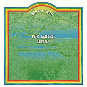 Birds Nest by Bures Band