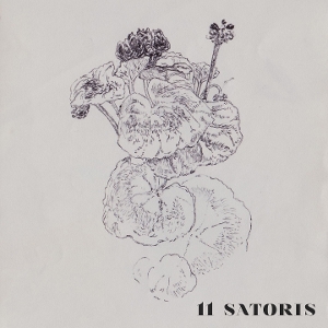 11 Satoris by 11 Satoris